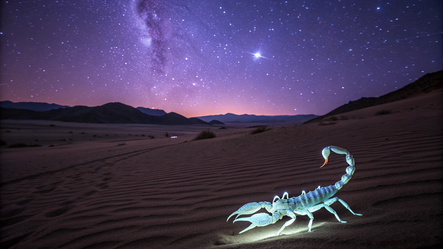 Гороскопия